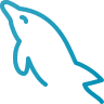 MYSQL